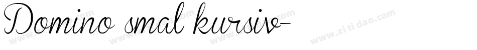 Domino smal kursiv字体转换